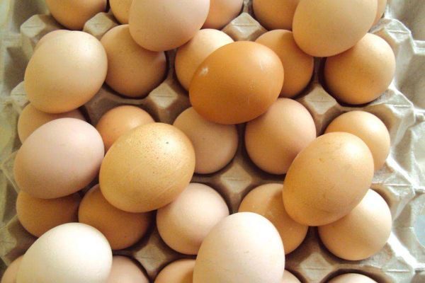 яйце твърдост на породата
