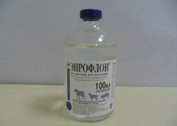  ентрофлон 100 ml