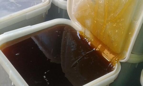 Полезни свойства на мед от мед