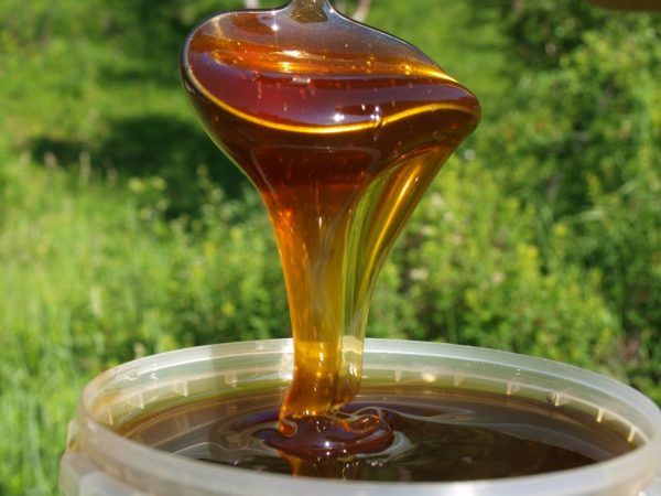  Естествен пчелен мед