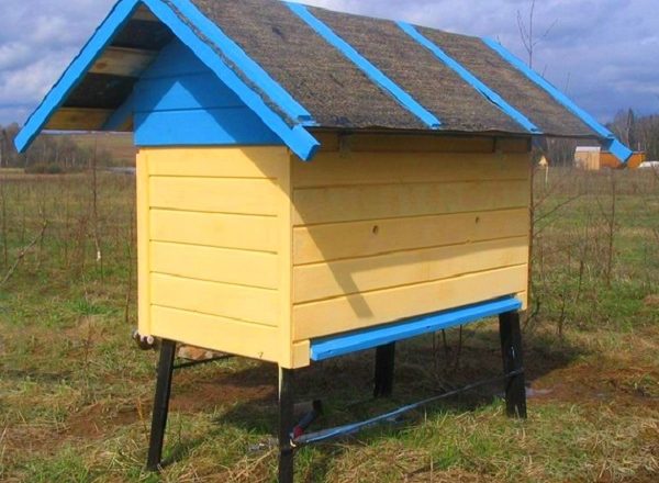  Как да направите кошер за собствените си пчели