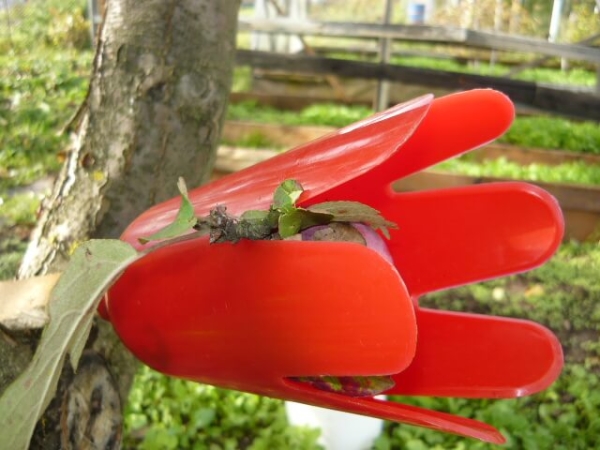  Tulip ripper изработен от пластмаса, има дълга дръжка