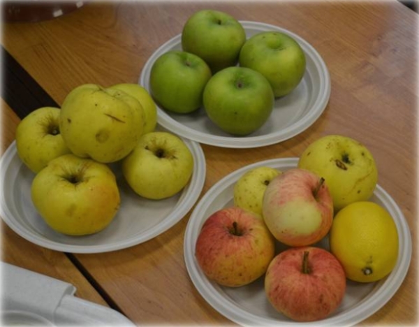  Калоричното съдържание на ябълките зависи от тяхното разнообразие, размера на плодовете и начина на прибиране на реколтата.