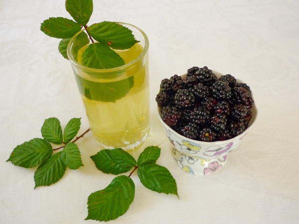  Blackberry листа, корени и плодове се използват при лечението на много заболявания