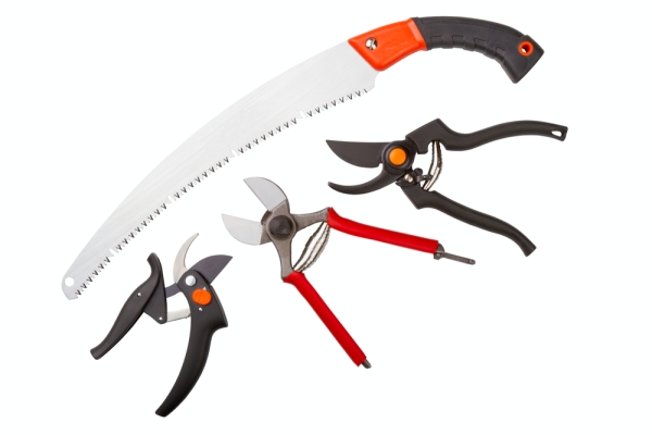 Машината за рязане, ножовката, градинският нож и ножчето трябва да бъдат заточени и дезинфекцирани.