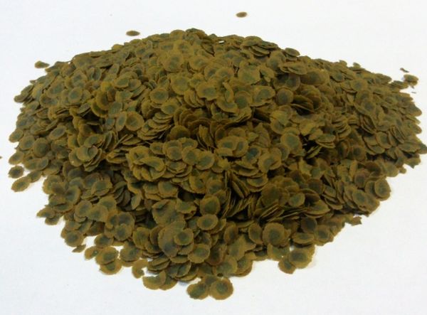  Сухият патешки патладжан може да се използва като зелена горна превръзка.