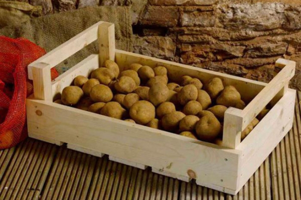  Възможно ли е картофите да се съхраняват в хладилника, избата, апартамент и други места