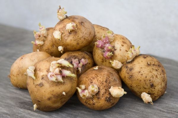  картофи