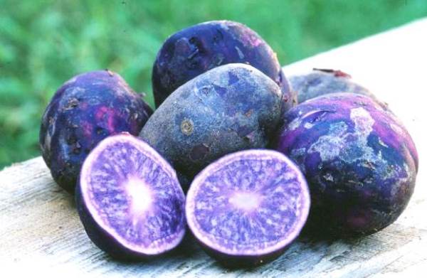  Пурпурни картофи
