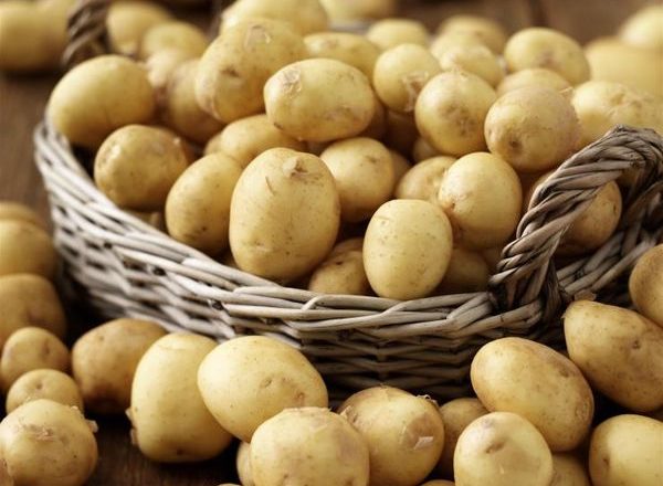  Ранни сортове картофи