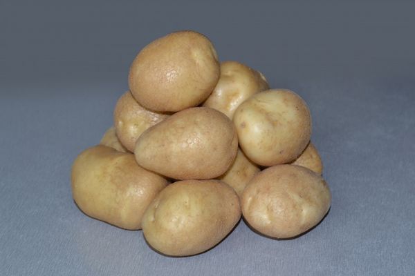  Картофени сортове Късмет