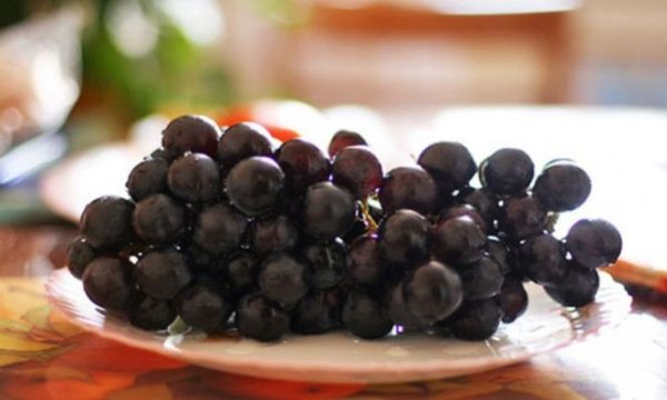 Как да запазите грозде за зимата