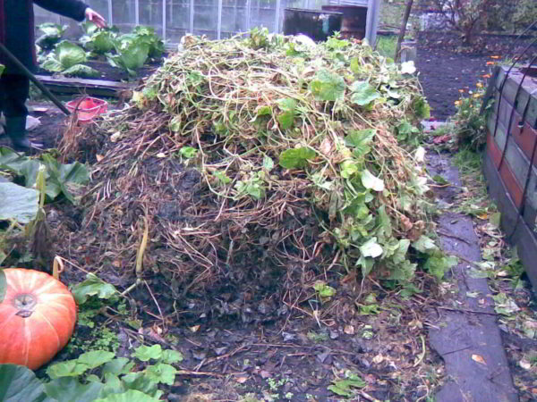  Природният компост е изгнилите органични отпадъци.