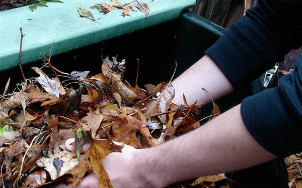  Събраните листа трябва да бъдат нарязани на ръка или с раздробител.