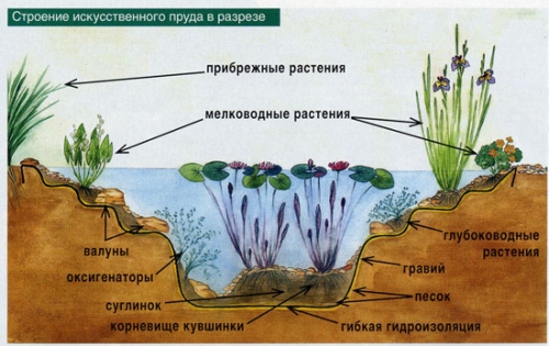  Схематичната структура на езерото за риба