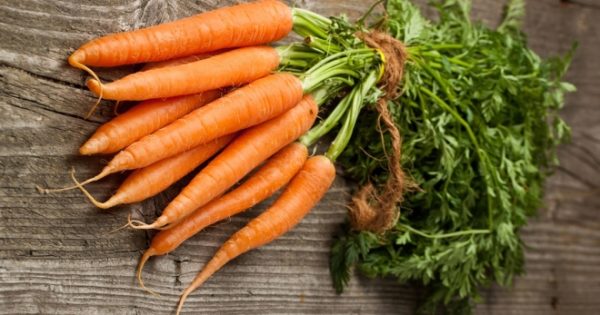  засаждане на моркови с помощта на метода kizima